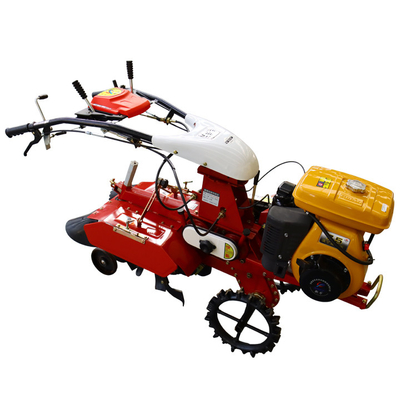Transmission à engrenages Cultivateur agricole Moteur à essence Mini Tiller à poussée manuelle pour le creusement