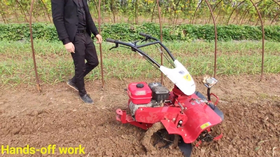 Largeur de terrassement de plus de 10 cm Fermes Nouveau moteur à essence de 4,0 kW Mini terrasseur rotatif