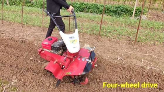 Corps étroit Tiller Ginger Power Tiller Largeur au-dessus de 10 cm 65 kg Poids