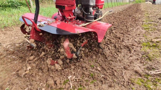 Corps étroit Tiller Ginger Power Tiller Largeur au-dessus de 10 cm 65 kg Poids