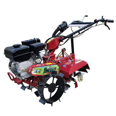 Cultivateur d'essence professionnel pour une largeur de travail de 70 cm et une vitesse de travail de 4 km/h