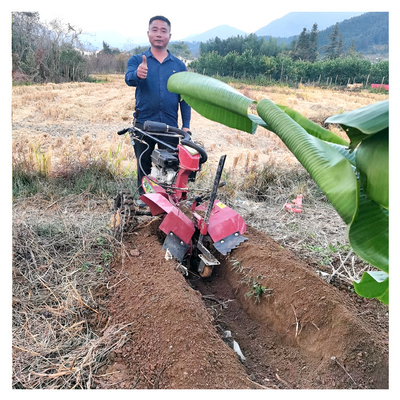 Tiller à essence à micro-puissance pour le labourage de la vigne Largeur supérieure à 10 cm 145*62*85 cm Taille