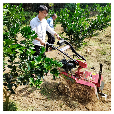 Puissant moteur à essence Tiller d'arbre pour la gestion de l'arbre de 145 * 62 * 85cm