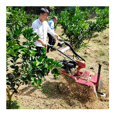 Moteur à essence Mini-Trencher pour jardin