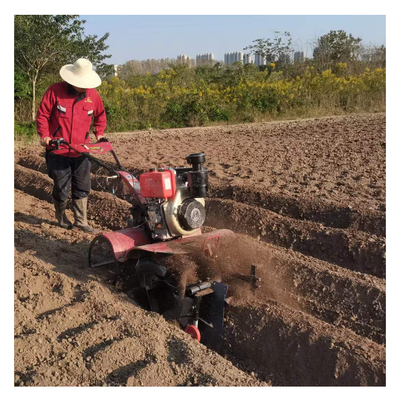 Défrichage et récolte avec le cultivateur de ferme à transmission à engrenages intégraux 177F directement connecté