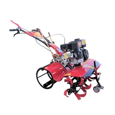 170F Cultivateur agricole directement relié à une transmission à engrenages complets pour le labourage et le labourage rotatif