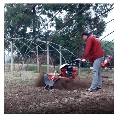 Économique Mini Power Tiller Gear Cultivator 10-40cm Largeur de terrassement et élimination de l'essence