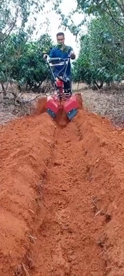 Énergie- Moteur à essence Petit cultivateur de verger 145*62*85cm pour l'agriculture de verger