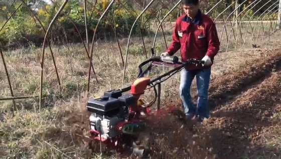Easy Orchard Start cultivateur à commande manuelle avec type de puissance diesel et transmission de vitesses