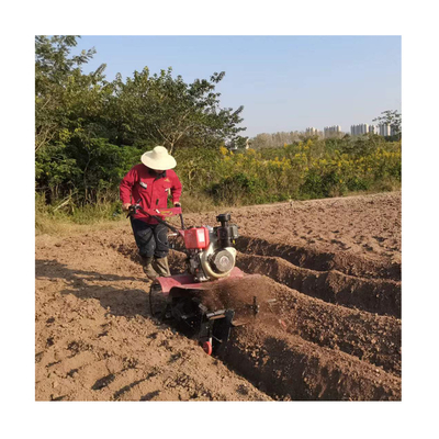 Cultivateur mini pour l'agriculture 186F à transmission intégrale à traction intégrale
