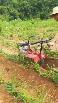 Cultivateur à poussée manuelle polyvalent avec type de puissance à l'essence et largeur de travail de 70 cm