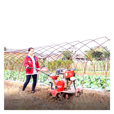 Équipement de machines agricoles professionnelles Mini-teler électrique de 4 kW pour l'agriculture