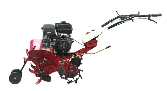 Cultivateur à quatre roues motrices à moteur diesel 186F économique pour l'agriculture multifonctionnelle