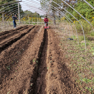 Moteur de défrichage à l'essence polyvalent pour jardin d'arbres fruitiers pour défrichage et défrichage des mauvaises herbes