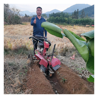 4 km/h Vitesse de travail Moteur à essence Mini Power Tiller Power Weeder Rotavator Cultivator