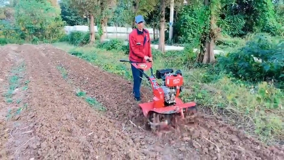 La vitesse de travail du cultivateur mini-tiller de jardin 7HP est de 4 km/h pour une productivité maximale