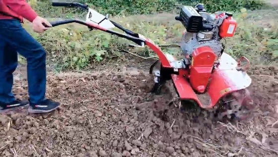 La vitesse de travail du cultivateur mini-tiller de jardin 7HP est de 4 km/h pour une productivité maximale