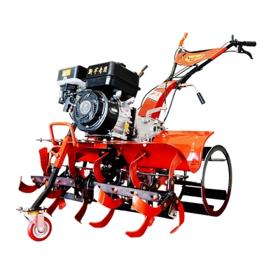 Récemment conçu 170F moteur à essence 4 roues motrices Mini Power Tiller Cultivator Compact pour la ferme