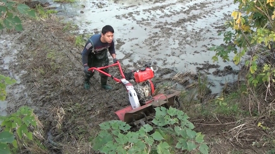 Cultivateur agricole à moteur à essence à quatre roues motrices avancées pour équipement agricole