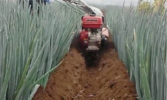 7HP/9HP Mini Tiller pour une ferme durable 150 kg Cultivation de multi-fonctionnel