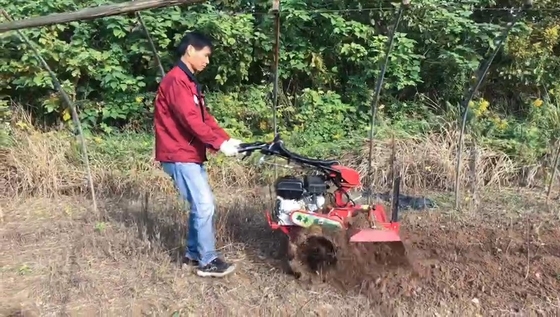 Cultivateur à essence multi-usage avec une largeur de labour supérieure à 10 cm