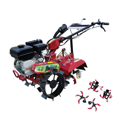 Orchard Petit tracteur de remorquage avec transmission de vitesses de type cultivateur à essence