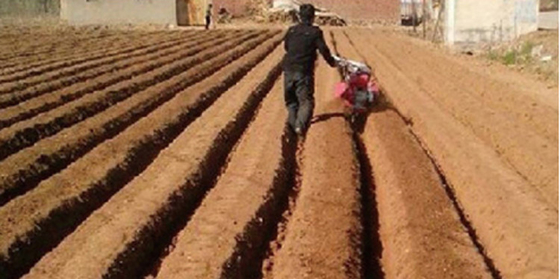 Chassis à quatre roues motrices, outil de culture des mauvaises herbes pour une culture optimale du sol
