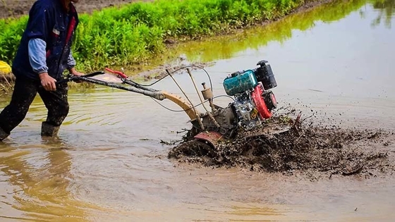4KW haut niveau de sécurité Machine agricole multifonction Moteur à essence 4 roues motrices 170f Mini Tiller