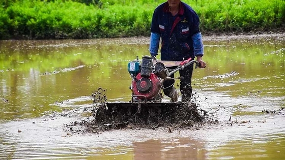 4KW haut niveau de sécurité Machine agricole multifonction Moteur à essence 4 roues motrices 170f Mini Tiller