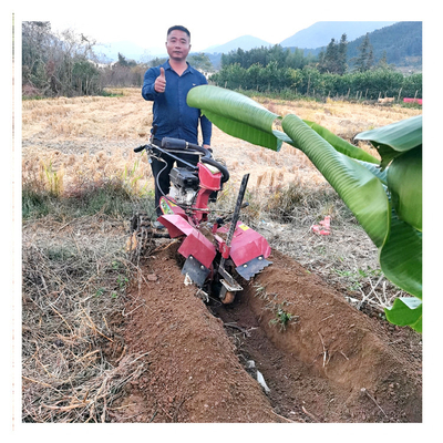 Gestion de la structure des engrenages Mini Power Tiller avec une largeur de travail de 70 cm et moteur à essence