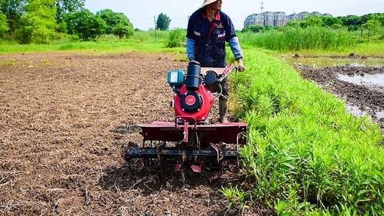 Équipement agricole polyvalent à quatre roues motrices 173F Cultivateur moteur diesel pour jardin