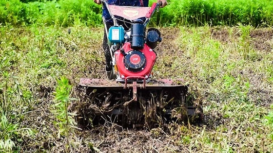 Équipement agricole polyvalent à quatre roues motrices 173F Cultivateur moteur diesel pour jardin