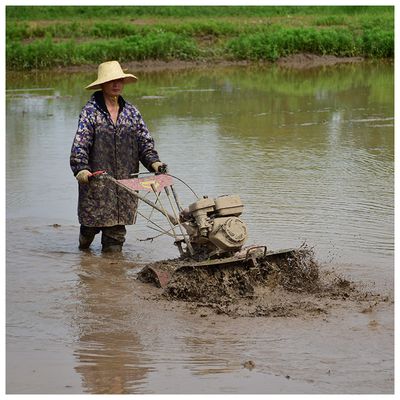 Réalisez plus en moins de temps avec notre rouleuse rotative 170F/173F 4WD Mini Power Tiller