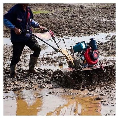 Niveau de sécurité élevé 4KW 173F Moteur diesel Mini Tiller Le meilleur choix pour les tâches d'éradication des mauvaises herbes
