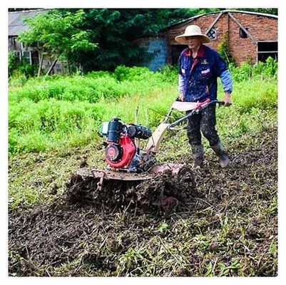 Niveau de sécurité élevé 4KW 173F Moteur diesel Mini Tiller Le meilleur choix pour les tâches d'éradication des mauvaises herbes