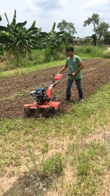 Mini cultivateur de structure de l'équipement de traction 45-85 cm largeur de travail pour la culture du sol
