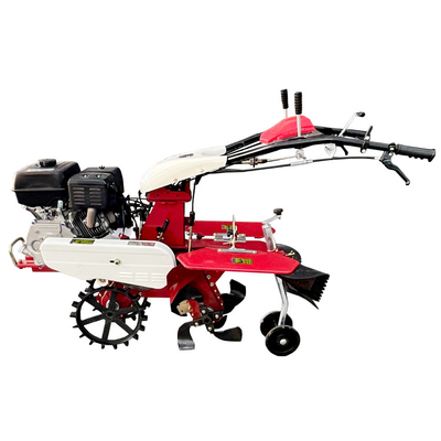 Fermes Multifonctionnel Terrasse-grange-grange-grange Mini-cultivateur avec moteur à essence