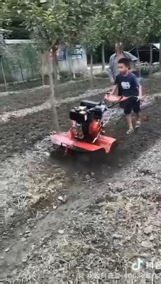 Élevage sans effort avec une haute sécurité, une machine de fraisage de 9 chevaux et une technologie avancée