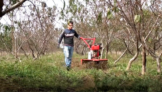 Cultivateur rotatif de 155*75*105 cm pour une culture économique et rapide des rizières