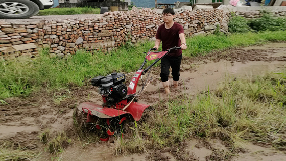 Cultivateur rotatif de 155*75*105 cm pour une culture économique et rapide des rizières