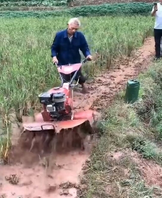 Cultivateur à outils à main de 8 chevaux avec fonctionnement facile et nouveau type de moteur diesel