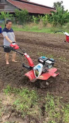 Cultivateur à outils à main de 8 chevaux avec fonctionnement facile et nouveau type de moteur diesel