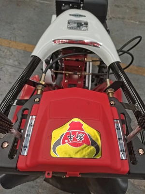 Moteur à essence 170F économe en main-d'œuvre