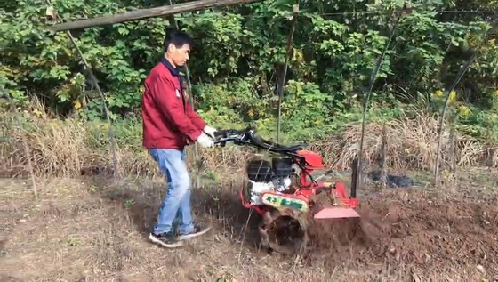 177F Moteur à essence à quatre roues motrices Mini Power Tiller Cultivator pour ferme et jardin