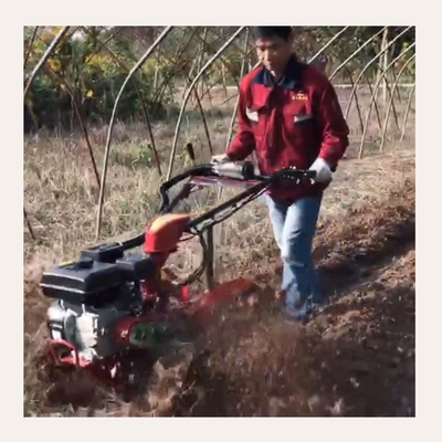 177F Moteur à essence à quatre roues motrices Mini Power Tiller Cultivator pour ferme et jardin