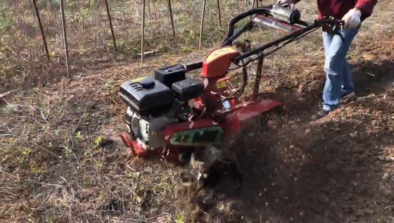 Largeur de travail de 70 cm Compact 177F Moteur à essence à quatre roues motrices Mini Tiller Cultivator