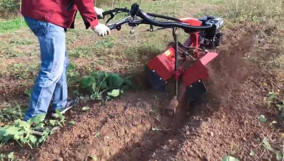 Largeur de travail de 70 cm Compact 177F Moteur à essence à quatre roues motrices Mini Tiller Cultivator