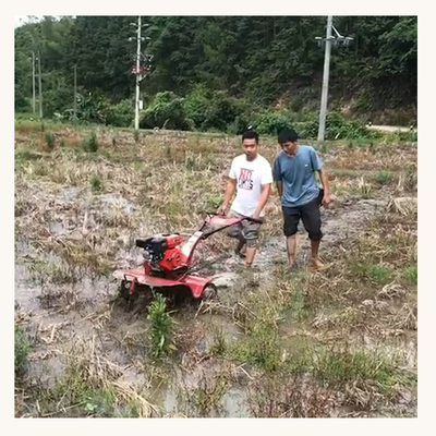 Petite puissance dernière conception à quatre roues motrices Mini Tiller de puissance pour le cultivateur de ferme à domicile