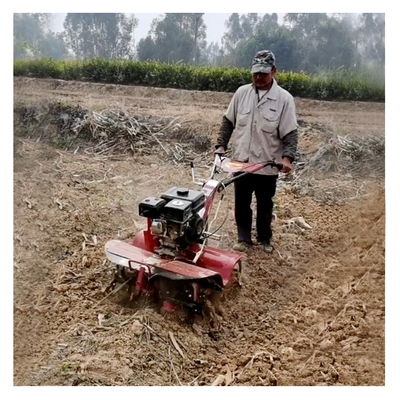 Machine agricole Xinniu Mini Tiller avec moteur à essence polyvalent et outils rotatifs