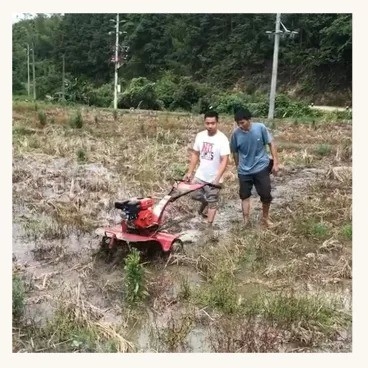 Mini-Tiller à essence avec terrassement rotatif léger et capacité de charge de 65 kg